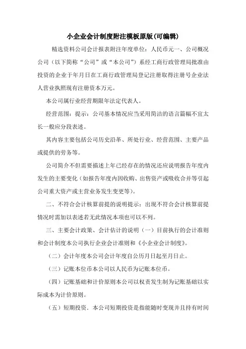 小企业会计制度附注模板原版(可编辑).doc