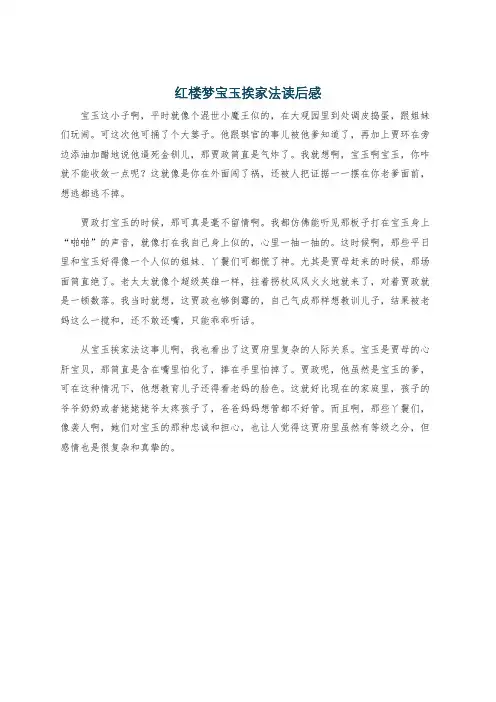 红楼梦宝玉挨家法读后感