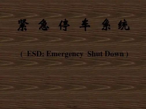 ESD紧急停车系统(共86张)
