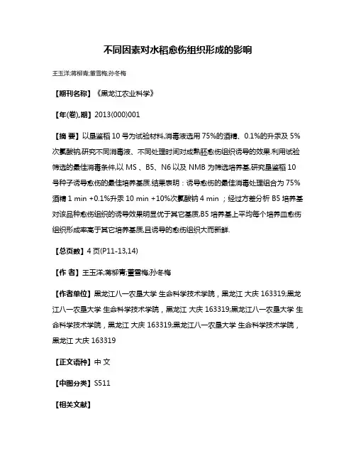 不同因素对水稻愈伤组织形成的影响