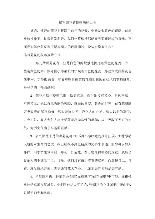描写菊花的段落摘抄大全