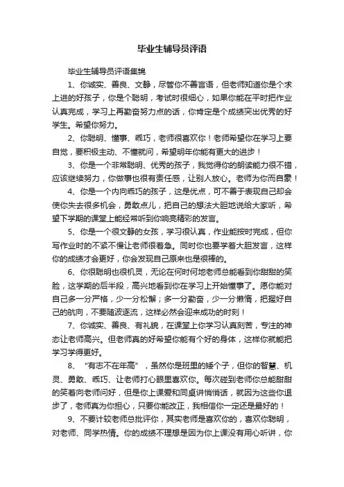 毕业生辅导员评语