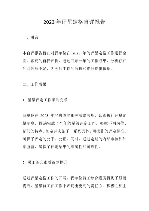 2023年评星定格自评报告