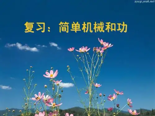 简单机械和功复习