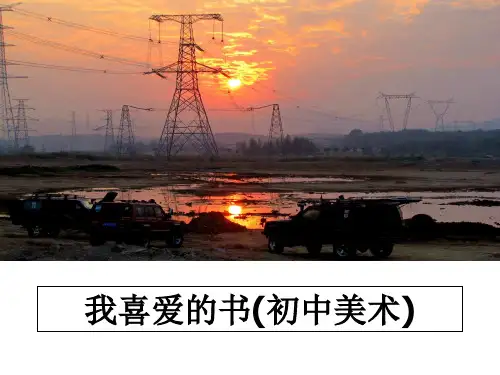 最新我喜爱的书(初中美术)教学讲义ppt课件