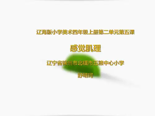 第5课感觉肌理