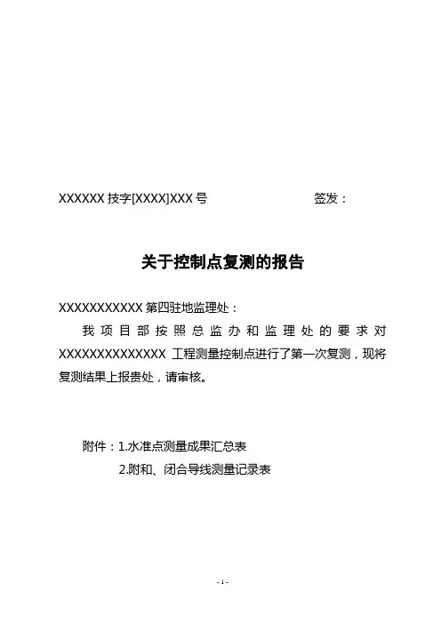 复测报告