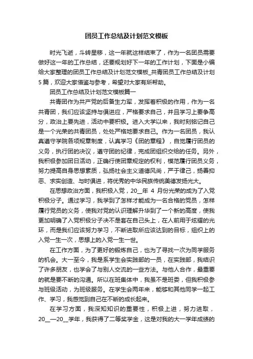 团员工作总结及计划范文模板