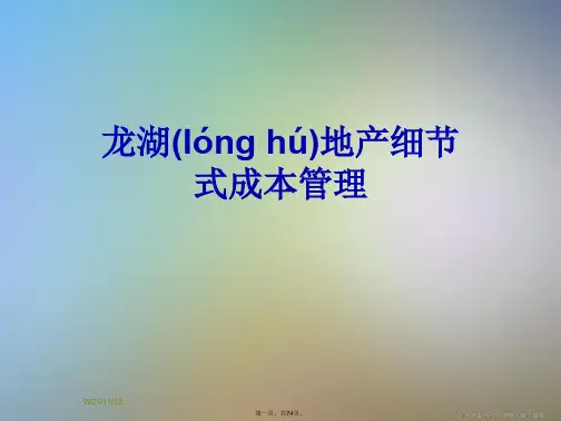 龙湖地产细节式成本管理