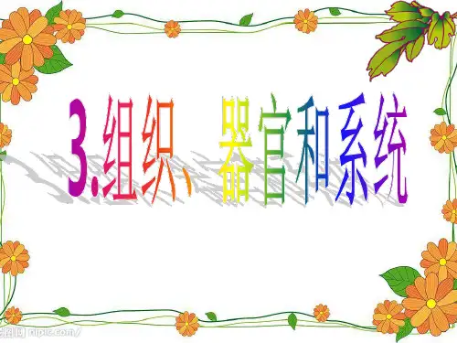 华师大版科学七上4.3《组织、器官和系统》课件3