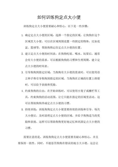 如何训练狗定点大小便