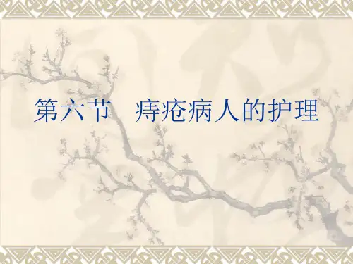 痔疮病人的护理ppt课件