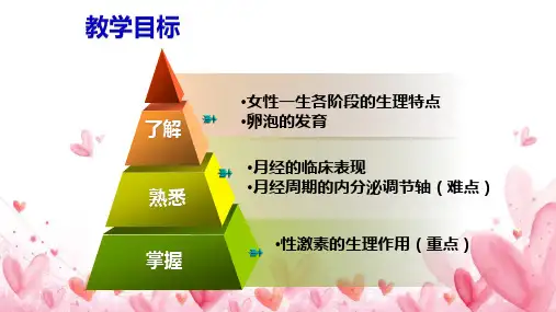 女性生殖系统生理—妇女一生各阶段的生理特点(妇产科护理课件)