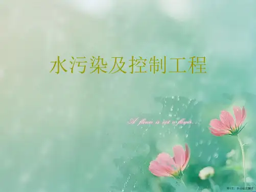 水污染及控制工程
