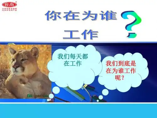 你为谁工作.ppt