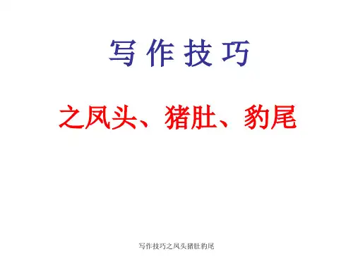 写作技巧之凤头猪肚豹尾 ppt课件