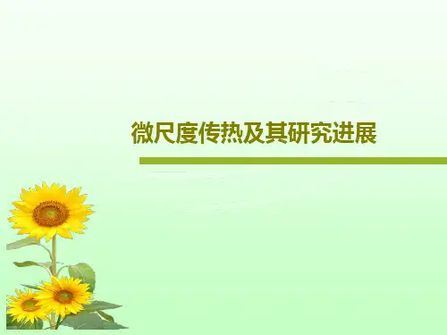 微尺度传热及其研究进展PPT文档共17页