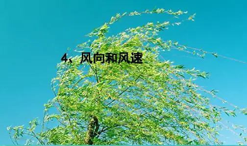 最新教科版小学四年级科学上册科教版四上《风向和风速》课件(1)
