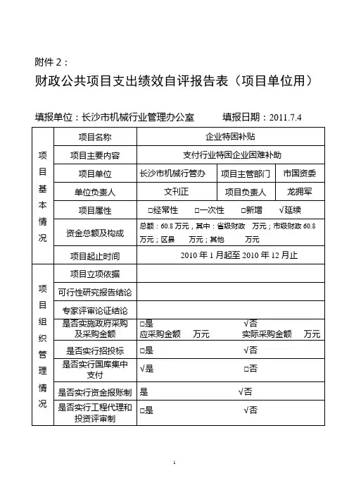财政公共项目支出绩效自评表