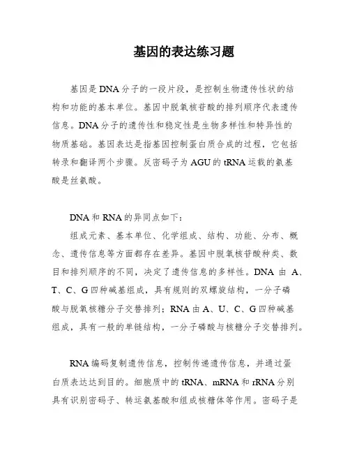 基因的表达练习题