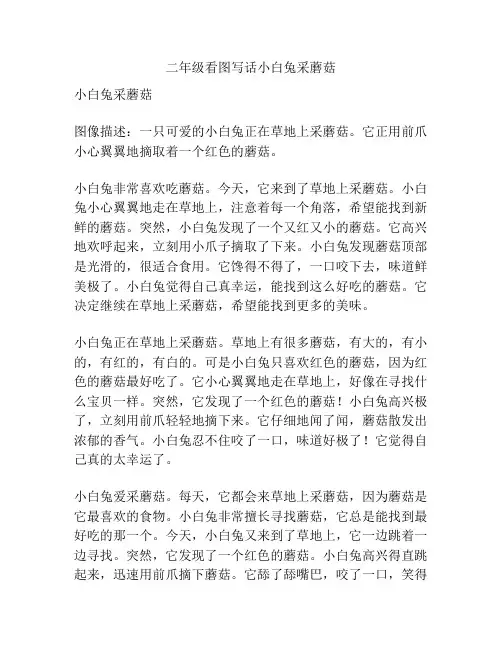 二年级看图写话小白兔采蘑菇