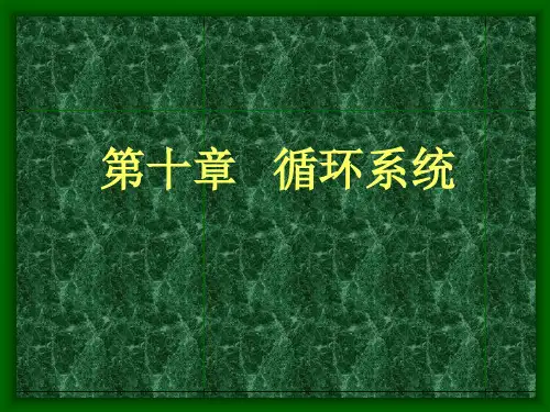 10循环系统(1)