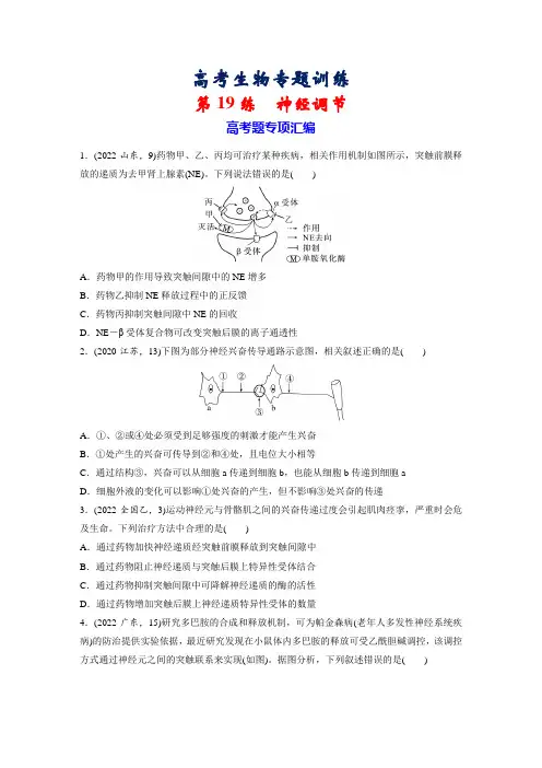 高考生物专题训练：第19练 神经调节