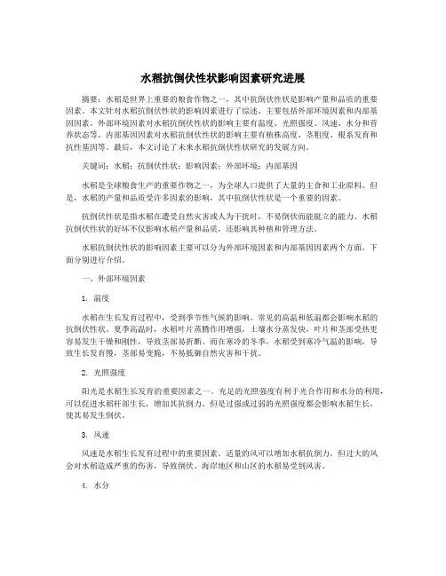 水稻抗倒伏性状影响因素研究进展