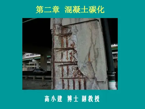 混凝土碳化
