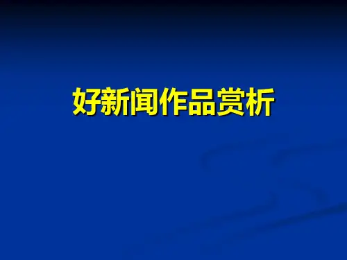 好新闻作品赏析1