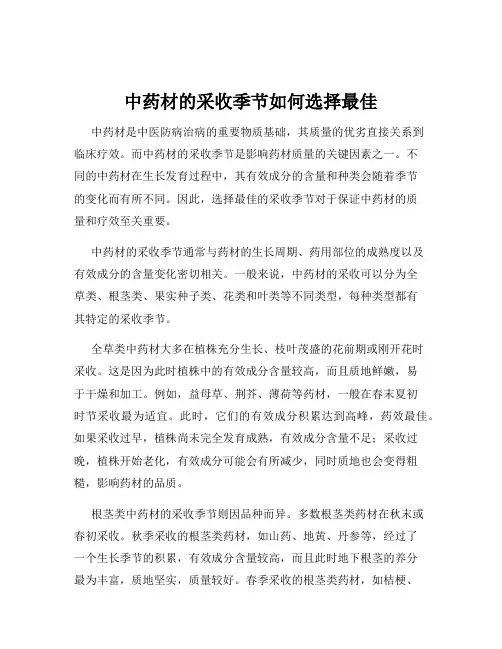 中药材的采收季节如何选择最佳