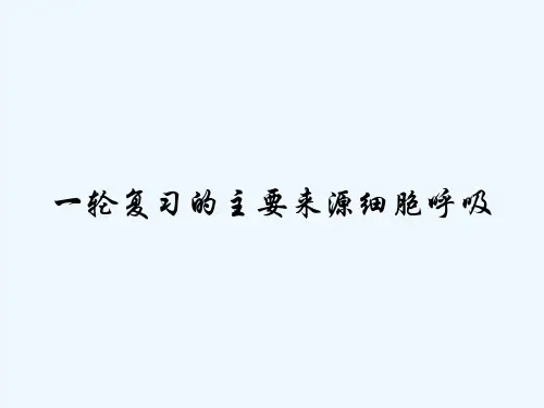 一轮复习的主要来源细胞呼吸 PPT