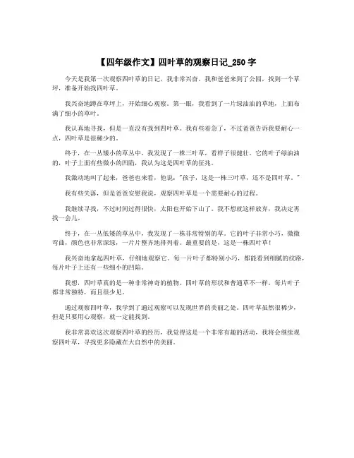 【四年级作文】四叶草的观察日记_250字