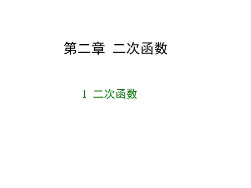 2.1 二次函数  课件(共32张PPT)  北师大版数学九年级下册