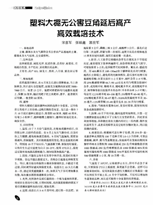 塑料大棚无公害豆角延后高产高效栽培技术