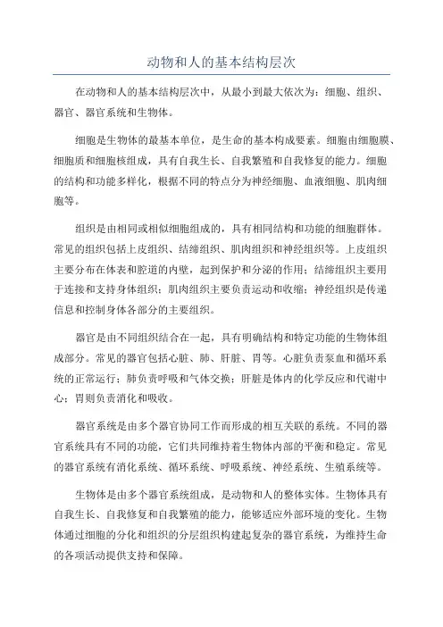 动物和人的基本结构层次
