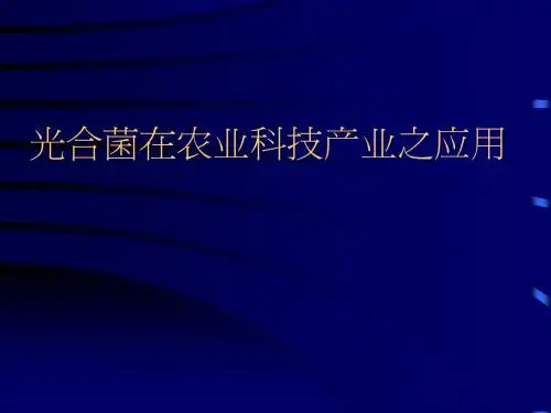 光合菌在农业科技产业之应用