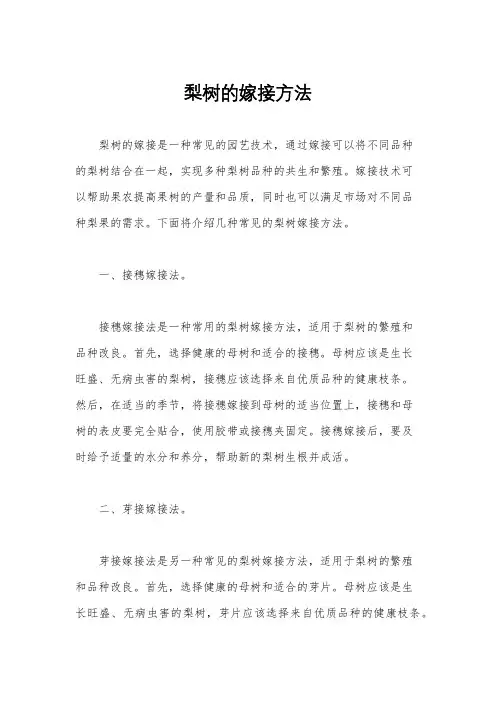 梨树的嫁接方法