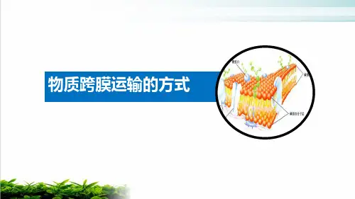 人教版生物必修一《物质跨膜运输的方式》讲课完美课件