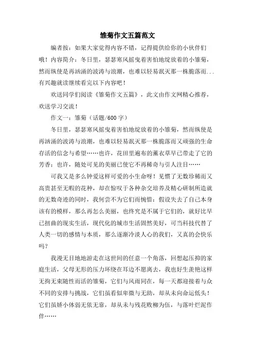 雏菊作文五篇范文