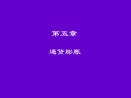 第5章 通货膨胀_宏观经济学(第4版)_黄亚钧.PPT
