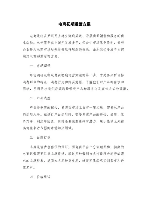 电商初期运营方案