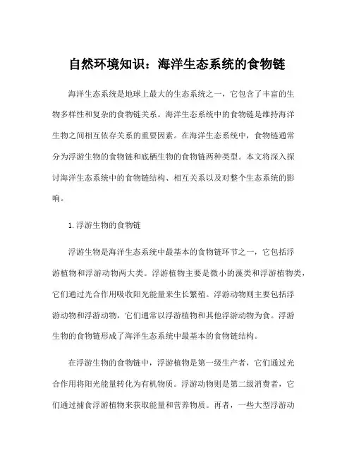 自然环境知识：海洋生态系统的食物链