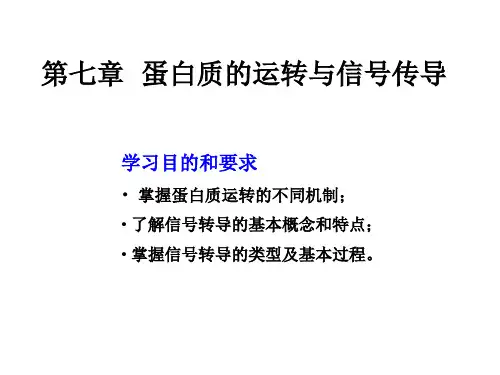 第七章 蛋白质的转运与信号传导(1)