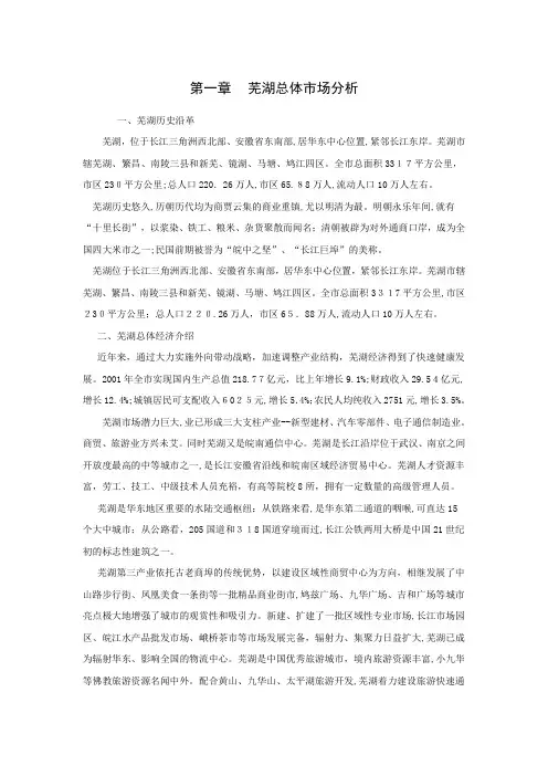 芜湖酒店项目分析报告(19P)