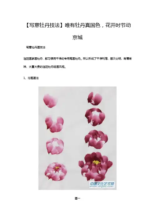 写意牡丹技法