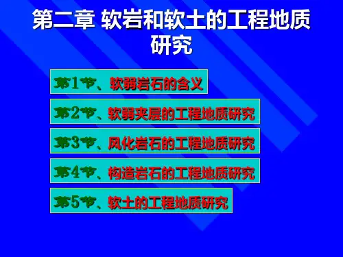 第二章软岩和软土的工程地质研究