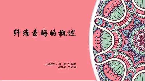 纤维素酶概述ppt课件