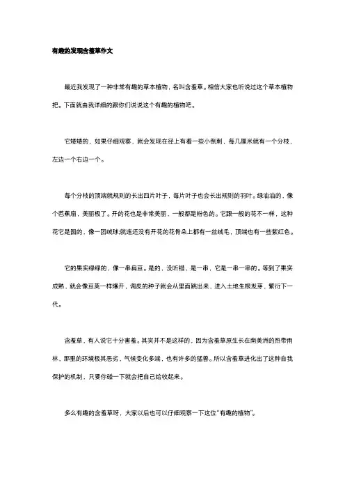 有趣的发现含羞草作文