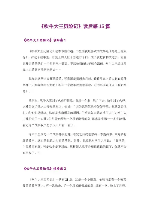 《吹牛大王历险记》读后感15篇